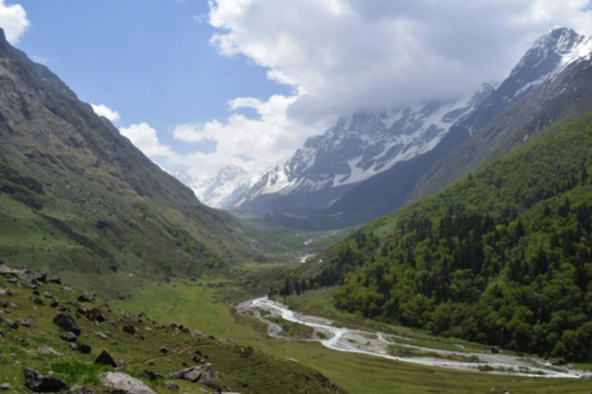 Trek Image 1
